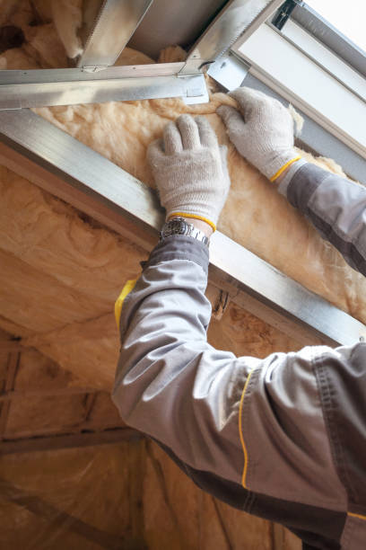 Best Insulation Installation Services in La Verkin, UT